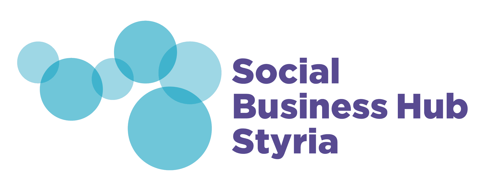 Logo of Social Business Hub Styria